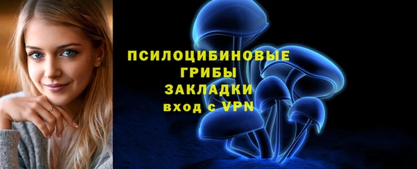 твердый Володарск