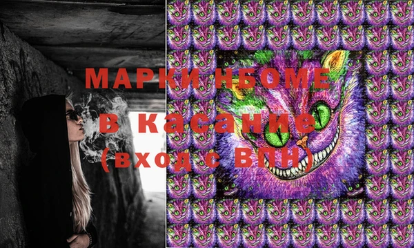 шишки Волосово