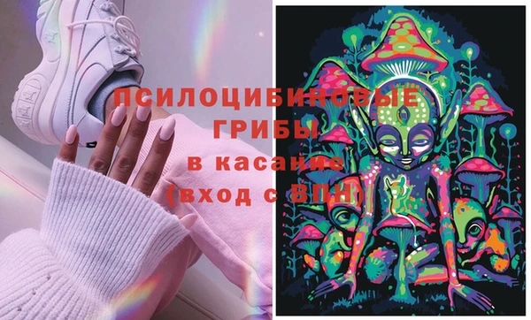 шишки Волосово